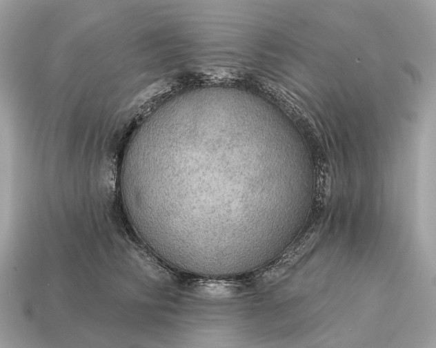 X0000115130710200911101647