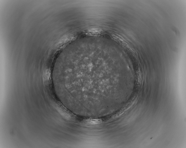 X0000115130711200911101647