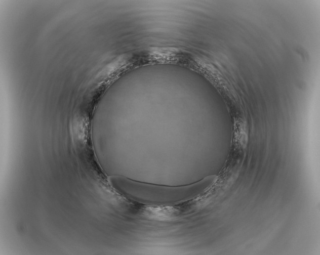 X0000115130712200911101647