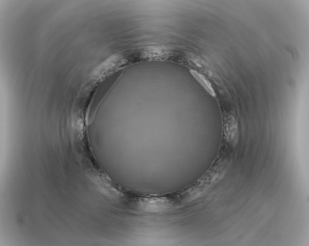 X0000115130716200911101647
