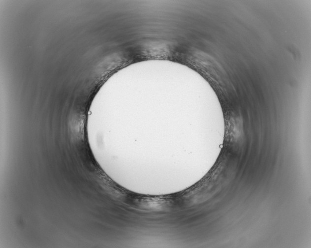X0000115130717200911101647