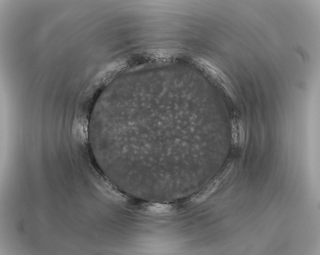 X0000115130718200911101647