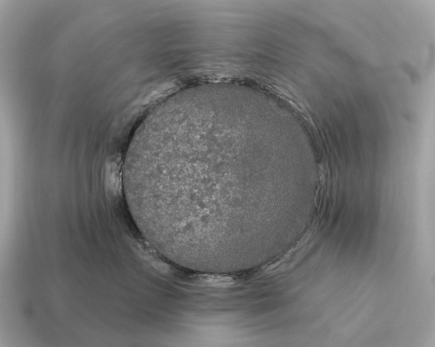 X0000115130719200911101647