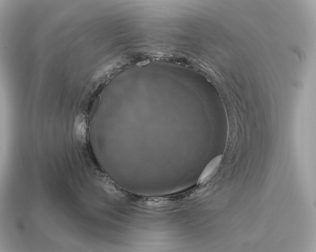 X0000115130720200911101647