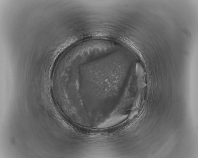 X0000115130721200911101646