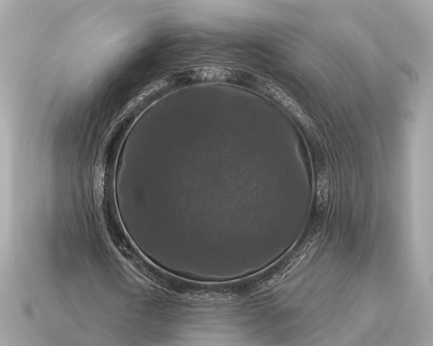 X0000115130722200911101646