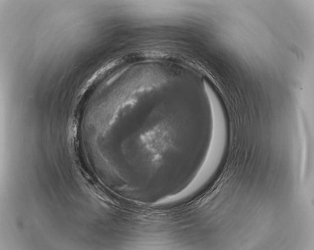 X0000115130723200911101646