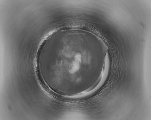 X0000115130726200911101646