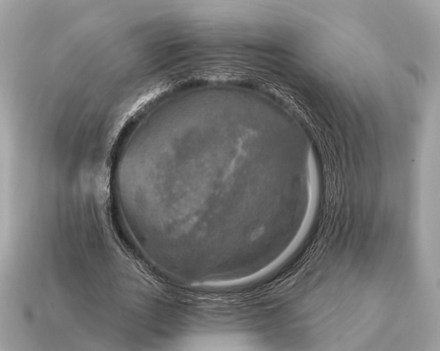 X0000115130727200911101646