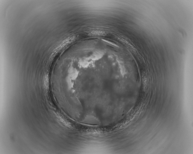 X0000115130729200911101646