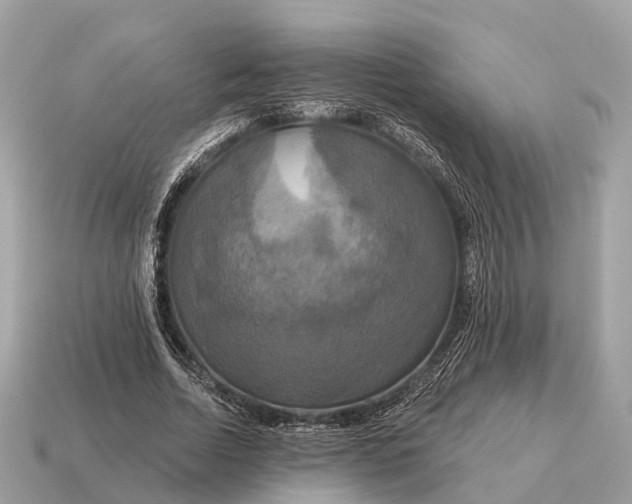 X0000115130730200911101646