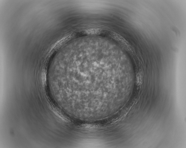 X0000115130733200911101646