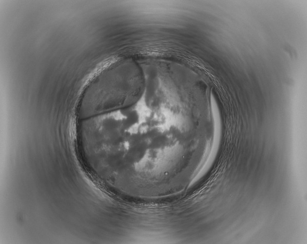 X0000115130734200911101646