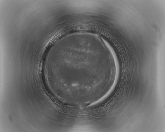 X0000115130735200911101646