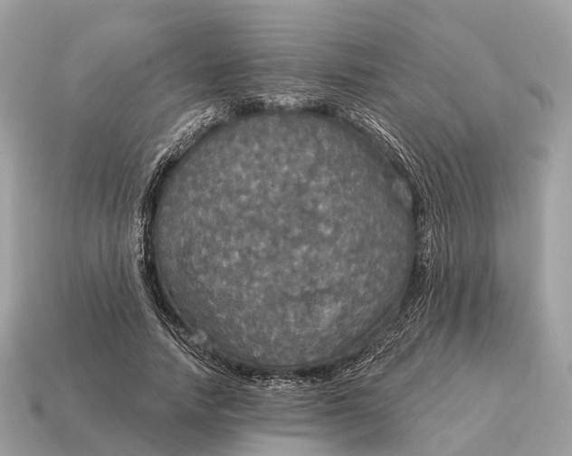X0000115130738200911101646