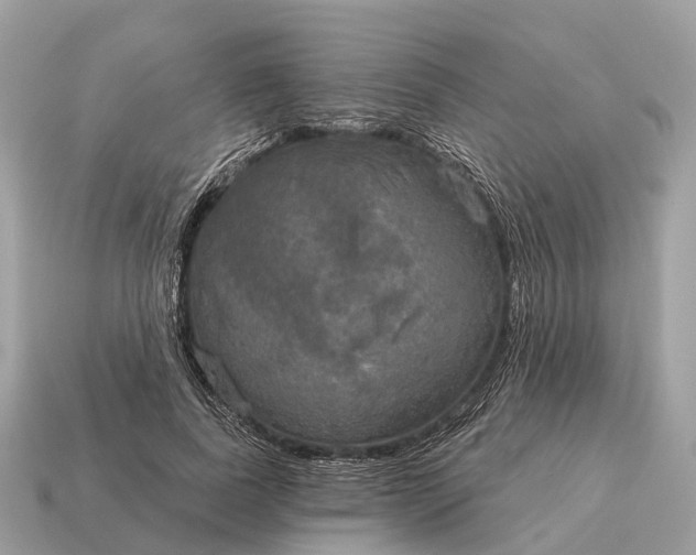 X0000115130739200911101646