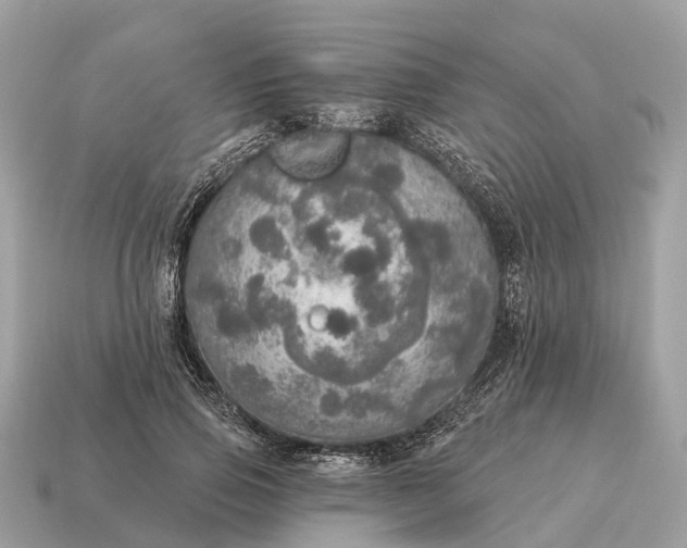 X0000115130741200911101646