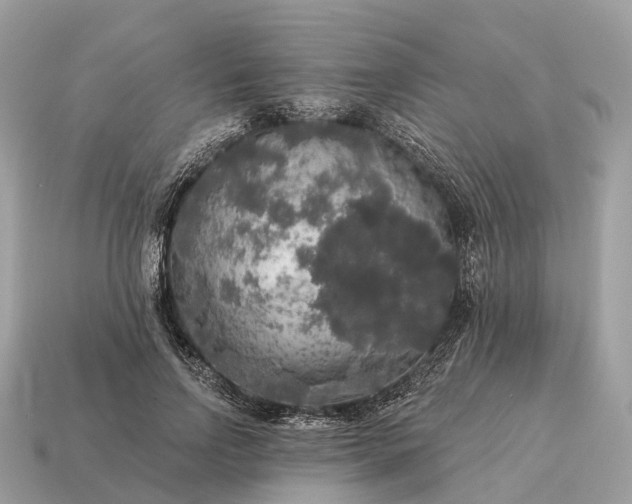 X0000115130742200911101646