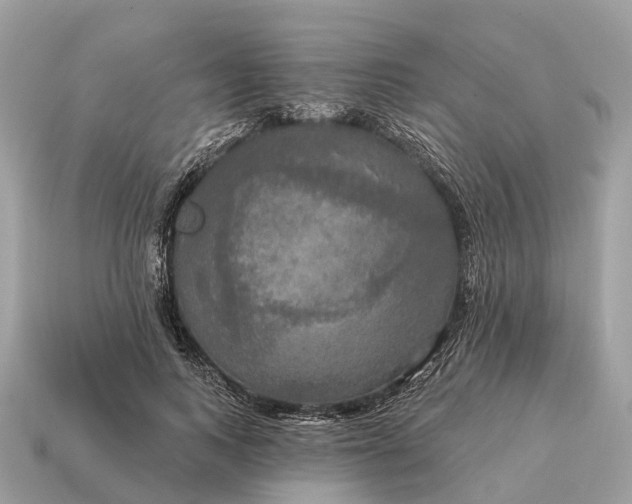 X0000115130743200911101646