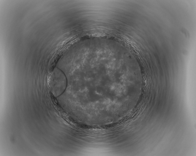X0000115130745200911101646