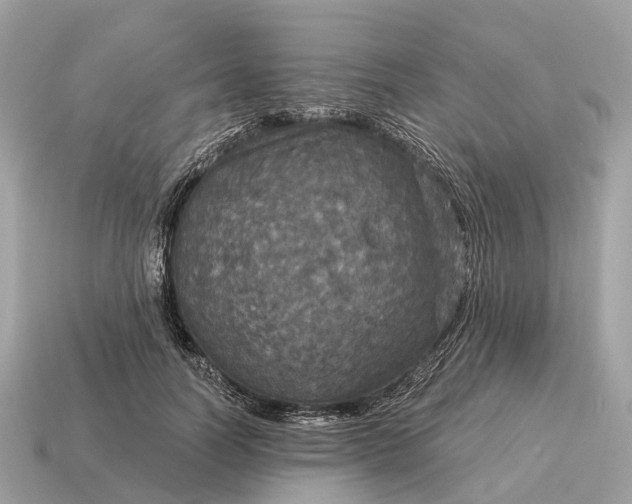 X0000115130746200911101646