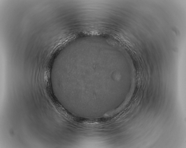 X0000115130747200911101646
