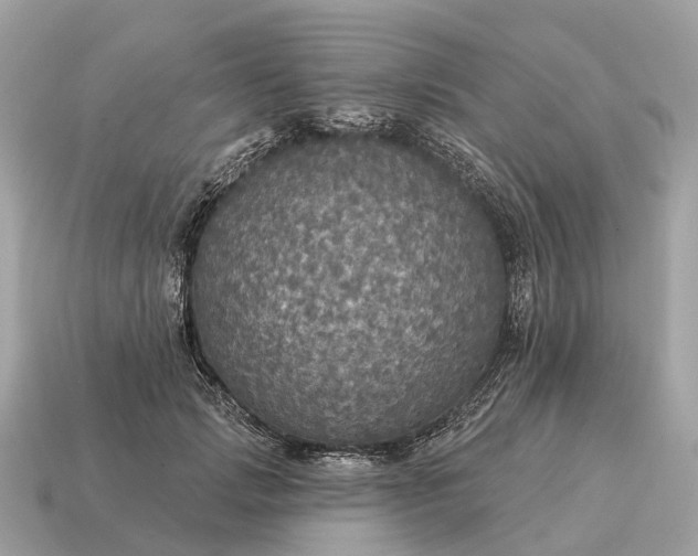 X0000115130749200911101646