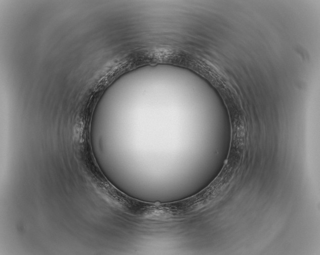 X0000115130750200911101646