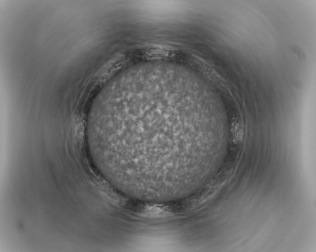X0000115130753200911101646