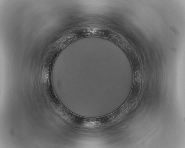 X0000115130754200911101647