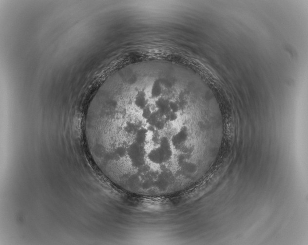 X0000115130757200911101647