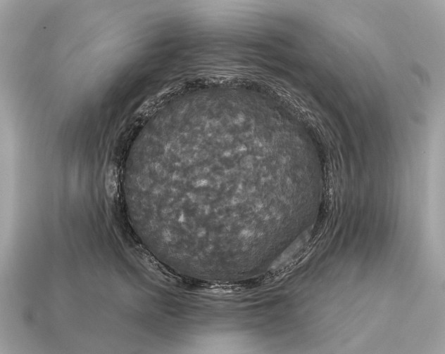 X0000115130758200911101647