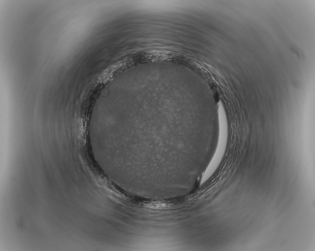 X0000115130759200911101647