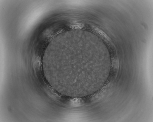 X0000115130761200911101647