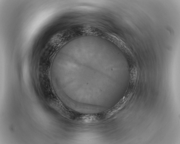 X0000115130762200911101647