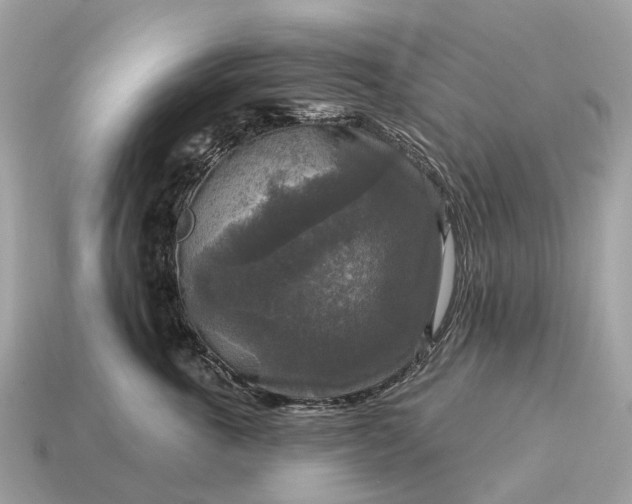 X0000115130763200911101647
