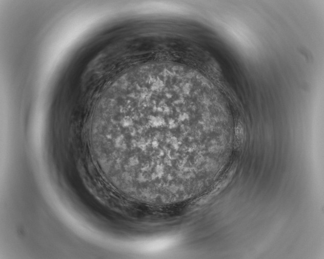 X0000115130765200911101647
