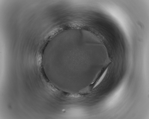 X0000115130767200911101647