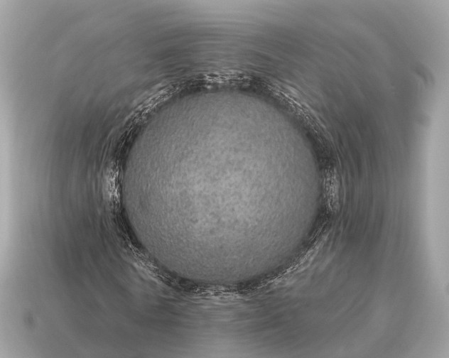 X0000115130770200911101646