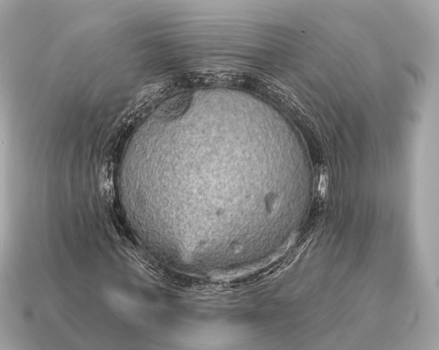X0000115130771200911101646