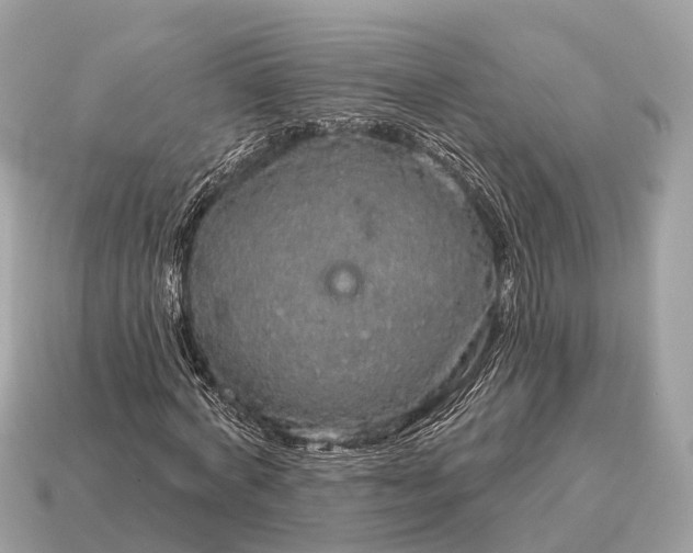 X0000115130772200911101646