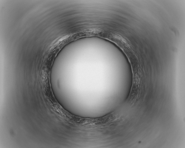 X0000115130773200911101646