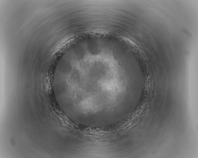 X0000115130774200911101646