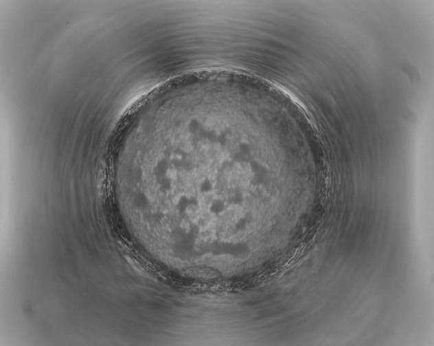 X0000115130775200911101646