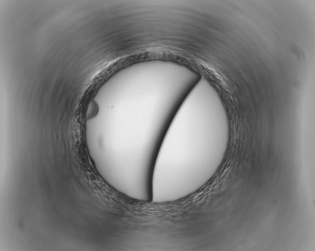 X0000115130776200911101646