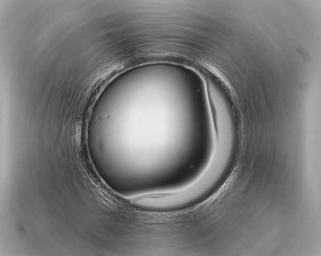 X0000115130777200911101646