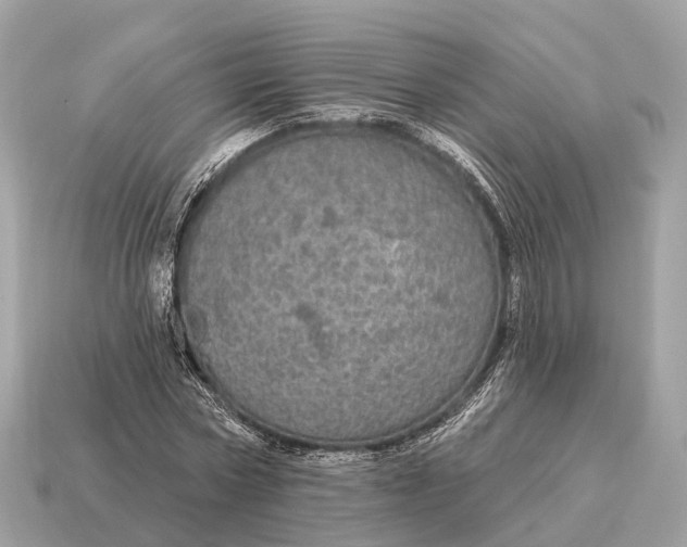 X0000115130778200911101646