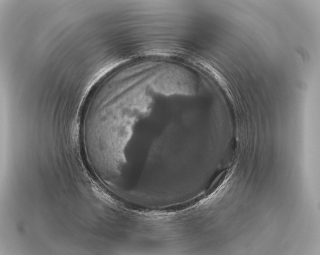 X0000115130779200911101646