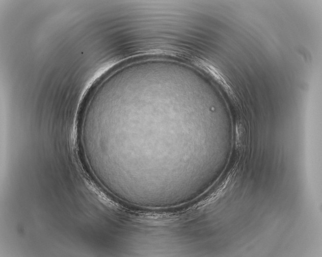 X0000115130780200911101646