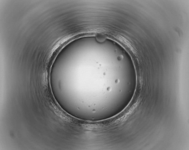 X0000115130781200911101646